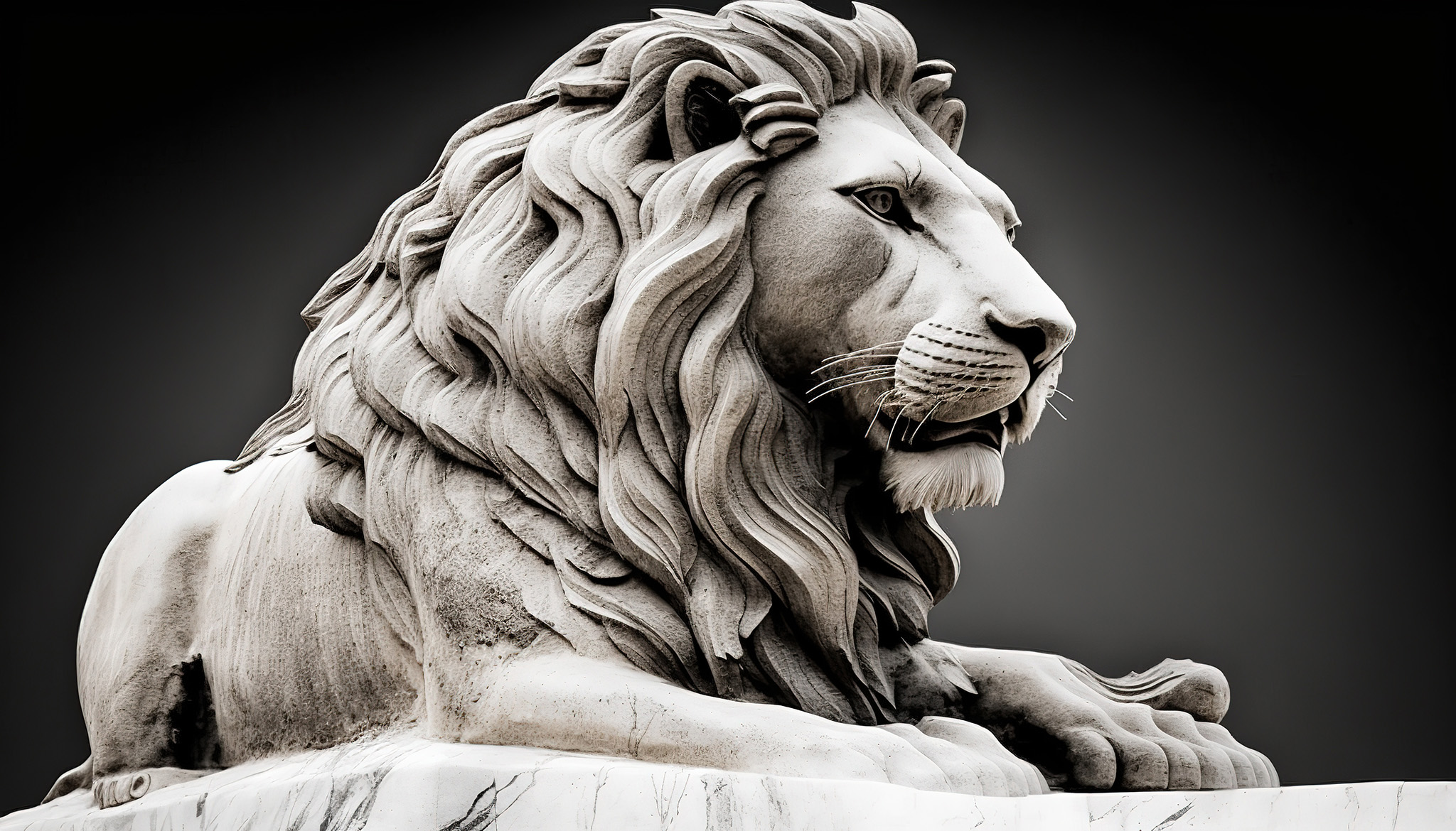 Lions Gate Digital: The David Against Silicon Valley’s Goliath